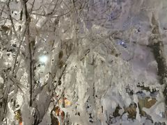 -汉拿山温泉度假酒店