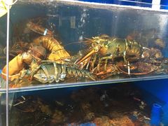 -蚝专家(北滘店)