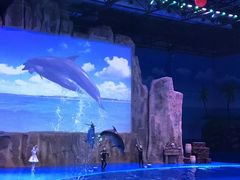 -华夏文旅海洋公园