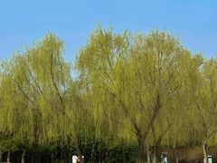 -临沂动植物园