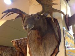 iphone_upload_pic-乔家满族八大碗(流水沟店)