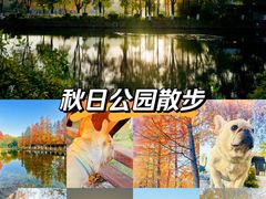 -金银湖国家城市湿地公园