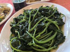 -化州大众美食城(宝安老牌店)