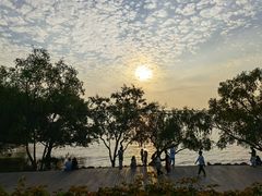 -宝安西湾红树林湿地公园