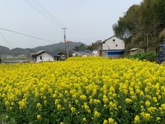 -花亭湖风景名胜区