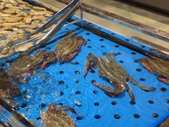-渔公码头海货全海鲜自助(海滨旅游路店)