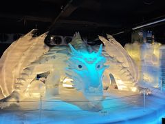-海合安武汉极地海洋公园