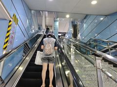 -大龙山(地铁站)