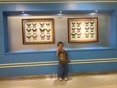 -上海昆虫博物馆