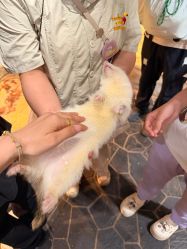 -Zoolung Zoolung动物主题公园(海信广场店)