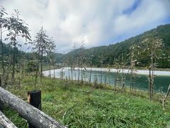 -武陵山森林公园