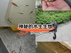-晓港公园