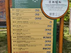 -泗洪洪泽湖湿地景区