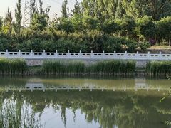 -东坝千亩湖公园