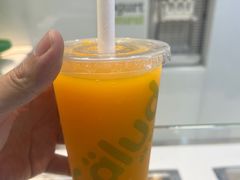 -Salud撒露欧洲冻酸奶(蓝色港湾店)