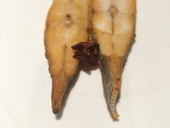-金成潮菜博物馆(海珠湿地店)