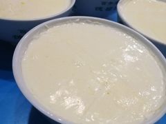 -德禄酸奶(莫家街店)