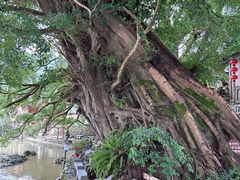 -云水谣景区
