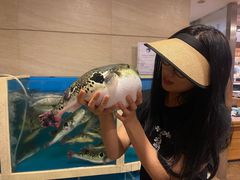 -天正河鲀·河豚亭(大连店)