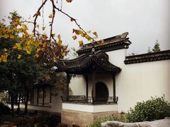 -雨花胜境