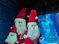 -沈阳海洋探索中心