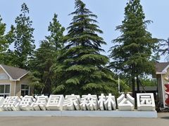 -日照海滨国家森林公园