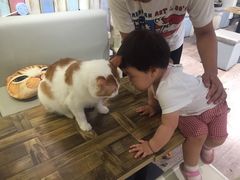 -小时光咖啡馆(开森度假森林店)