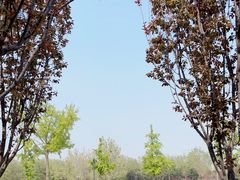 -太阳宫公园