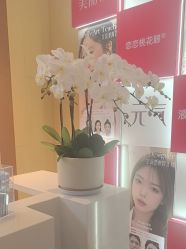 点击看大图 -Yestar艺星医疗美容医院