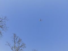 -春花秋色城市公园