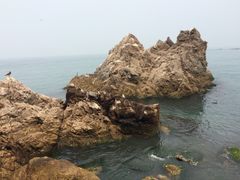 -海驴岛(荣成市)
