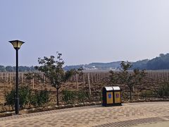-北京张裕爱斐堡酒庄