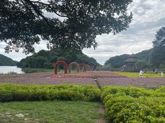 -广州市石门国家森林公园