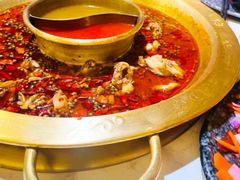 -哥老官重庆美蛙鱼头(圆融广场店)