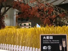 -武汉光谷K11