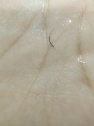 点击看大图 -J Candy Nail 美甲美睫