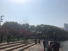 -圩墩遗址公园