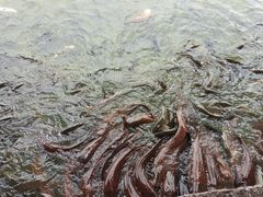 -建水文庙