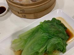 白灼生菜-金鼎轩(亚运村店)