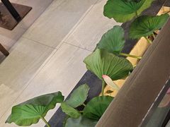 -客家班·客家菜(嘉禾金铂店)