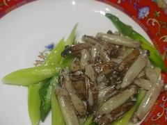 -新光酒家·河豚·海鲜·蟹料理(浦东店)