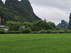 -明仕田园