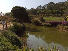 -南国桃园旅游度假区