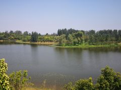 -东郊湿地公园