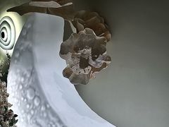 -PARFUM FLORAL花境法餐(南京首店)