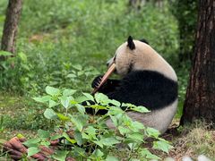 -安吉竹博园