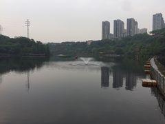 -重庆彩云湖湿地公园