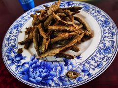 -柘林湖生态鱼馆