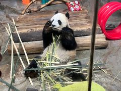 -海南热带野生动植物园