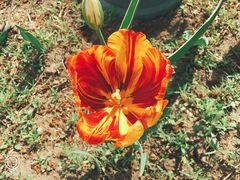 -长春公园(普阳街道)